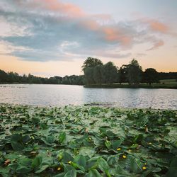 Scenic view of lake against sky at sunset