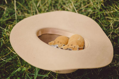 High angle view of baby booties in hat on grass