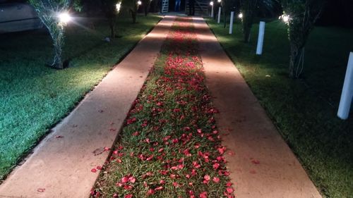 Illuminated street lights at night