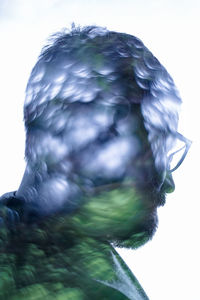 Close-up of bird