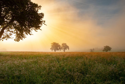 Scenic view of field against sky during sunset