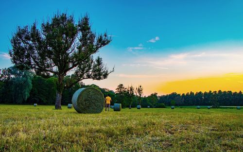 Hay bales on field against sky