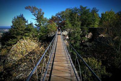 Footbridge over trees