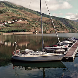 Boats moored at harbor