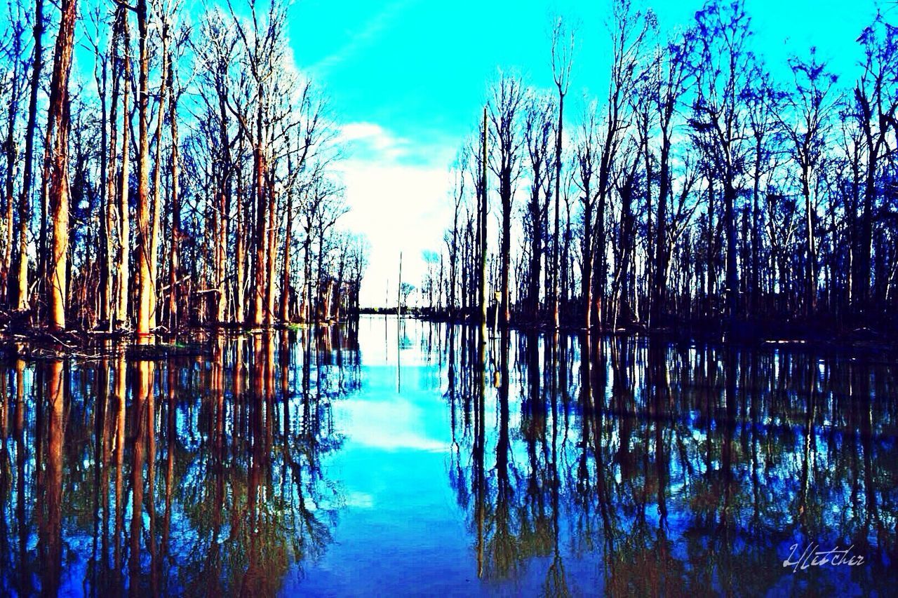 Mississippi River flood