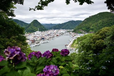 View on the harbor of shimoda from the park