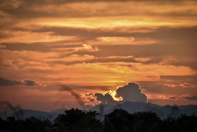 Silhouette trees against dramatic sky during sunset