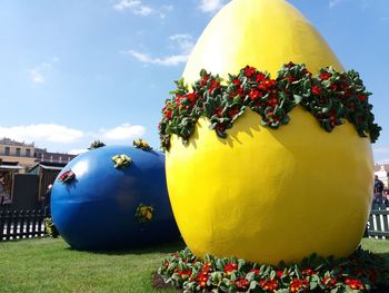 Close-up of yellow flowers against blue sky