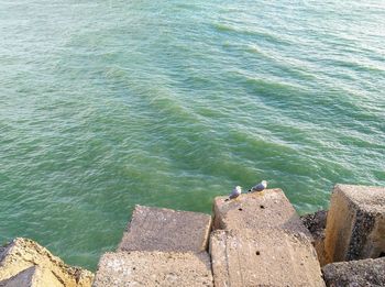 High angle view of rocks in sea