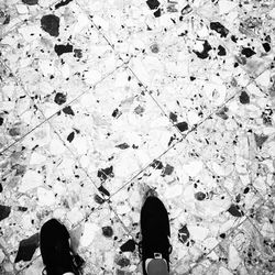 Low section of people standing on tiled floor