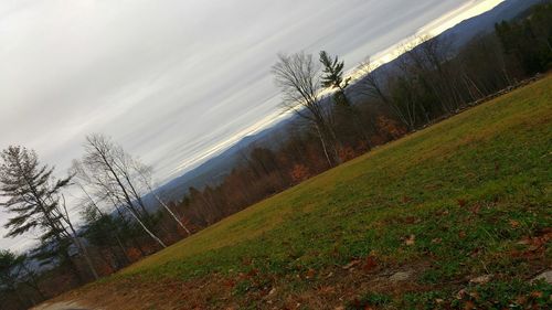 Scenic view of grassy field against sky