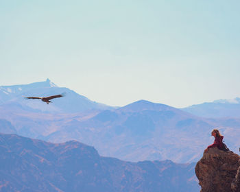 Low angle view of bird flying against mountain