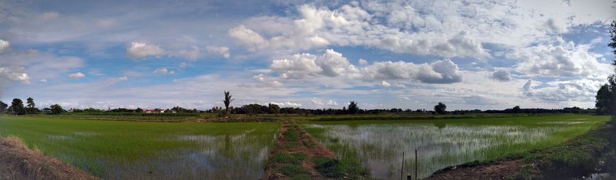 Panoramic view of field against sky