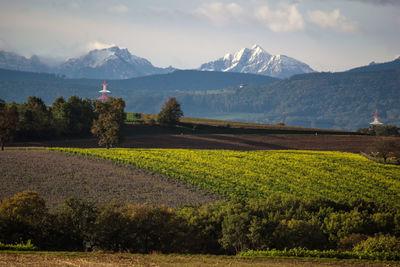 Scenic view of field against mountains