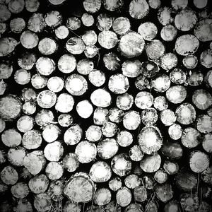 Full frame shot of logs