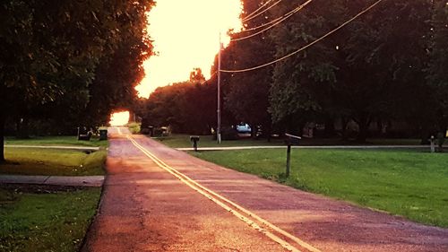 Road by trees against sky