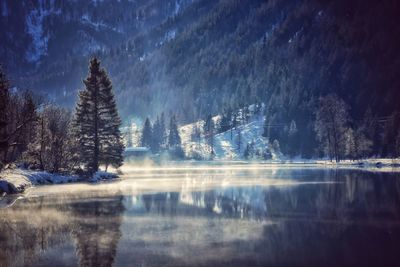 Reflection of trees in lake during winter