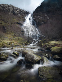 Scenic view of waterfall in forest