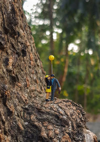 Close-up of toy on rock against trees