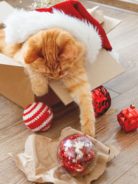 Cute ginger cat in box with christmas and new year decorations. fluffy pet with red santa claus hat.