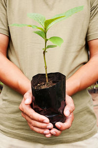 Close-up of person holding seedling