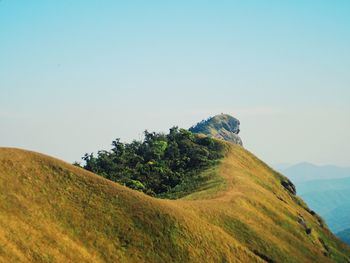 Scenic view of landscape against clear sky