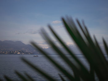 Close-up of sea against sky