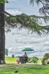 Trees on field against sky