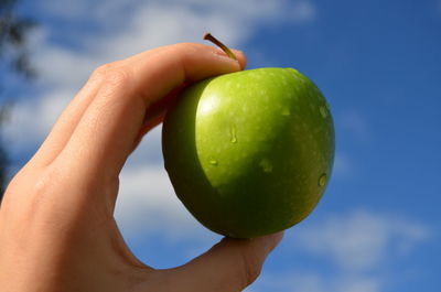 A fresh apple