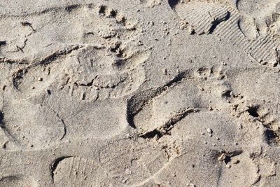 High angle view of footprints on sand