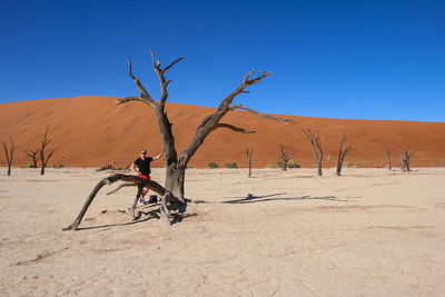 Man standing by dead tree at desert against clear blue sky