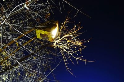 Low angle view of spider web against sky