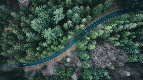 High angle view of agricultural field