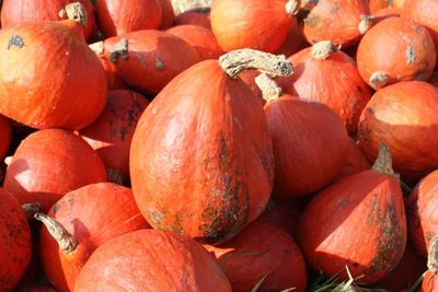 Full frame shot of pumpkins