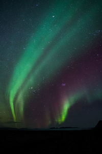 Low angle view of aurora polaris over land at night