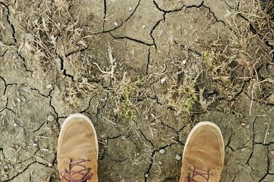 Low section of person standing on dry land