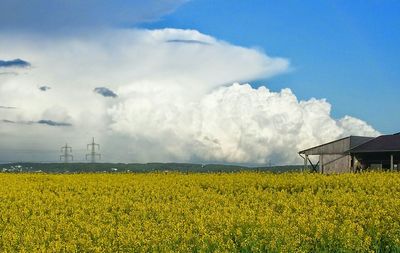 Scenic view of field against cloudy sky