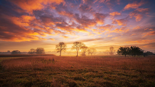 Scenic view of field against sky during sunset