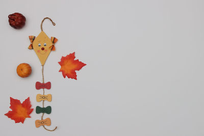 Close-up of autumn leaves over white background