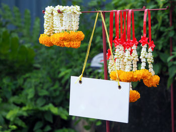 Flower necklace hanging in market for sale