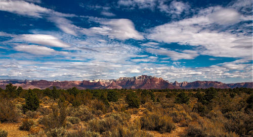 Scenic view of landscape against cloudy sky