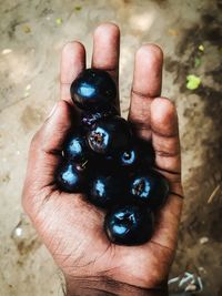 Close-up of hand holding fruit