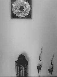 View of flowers in the dark