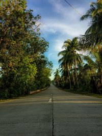 Road amidst trees against sky