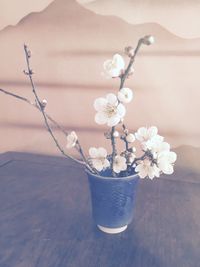 Cherry blossoms in container on table at home