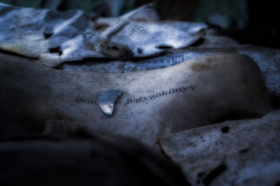 Close-up of old stone on rock