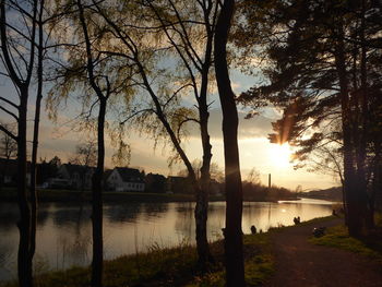 Silhouette trees by lake against sky during sunset