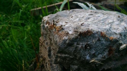 Close-up of rocks