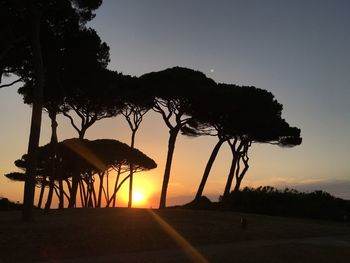 Silhouette trees against sky during sunset