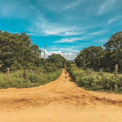 Dirt road amidst trees against sky